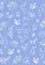 300x300