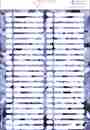 300x300