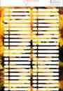 300x300